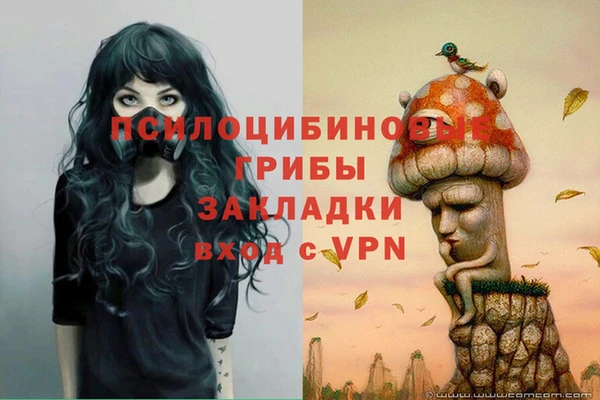 прущая мука Армянск